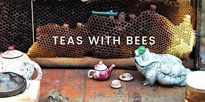 Teas With Bees: Apiary Experience and Tea Ceremony