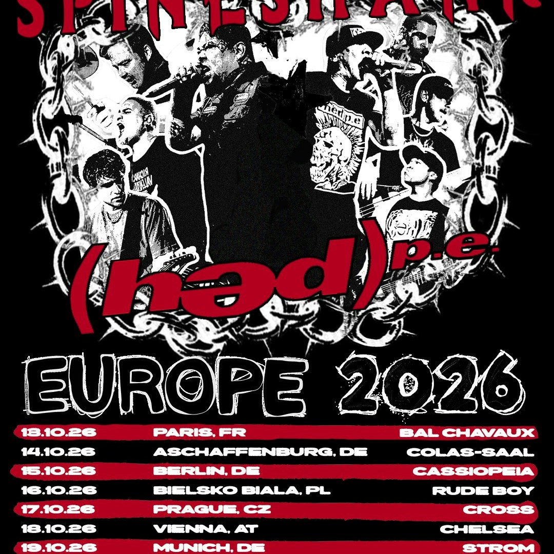SPINESHANK +  (HED) P.E.