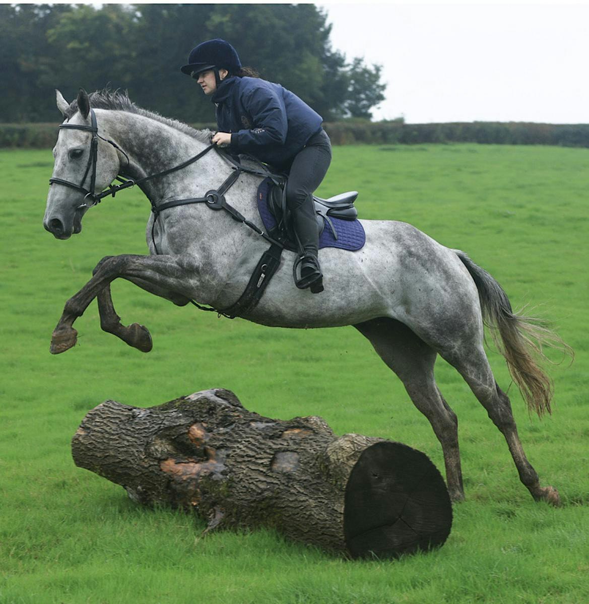 Llanarth fun ride