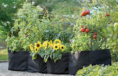 Small Space, Big Harvest: Growing Food in Fabric Grow Bags