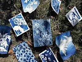 Introduction to Cyanotypes!