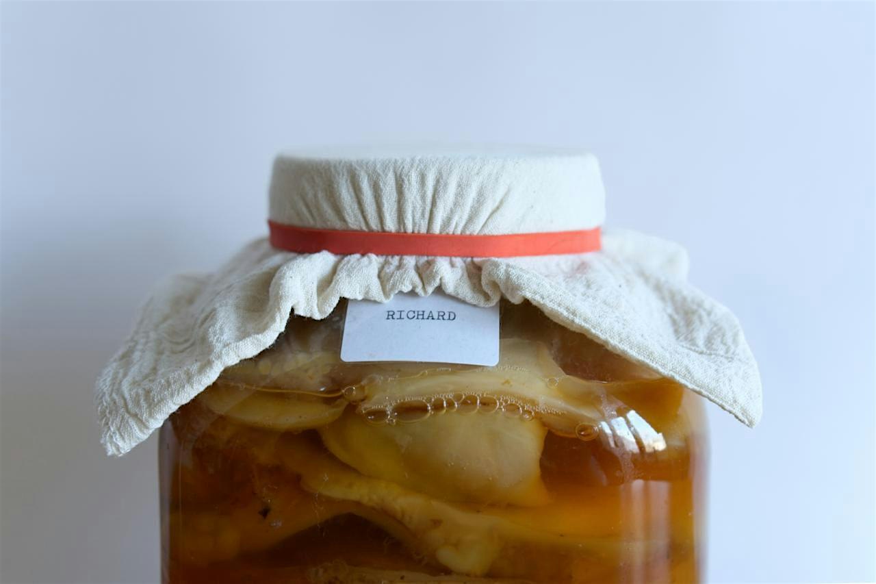 Fermenta Collective: Brew Your Own Kombucha