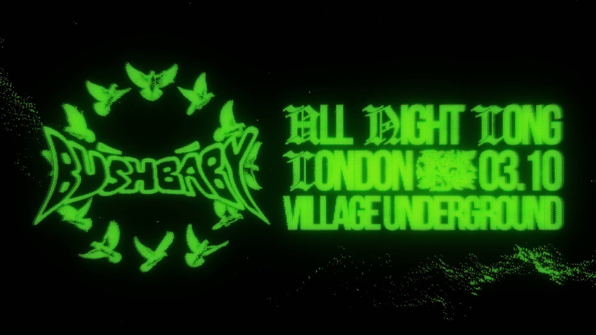 Origins: Bushbaby [All Night Long]
