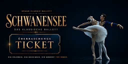 Bonn | Schwanensee – Die traditionelle Wintertournee