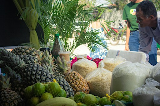 [Evento PPA] Segurança Alimentar e Nutricional na Amazônia