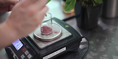Lab Skills for New Perfumers (in person)