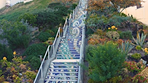 Hidden Stairways of San Francisco