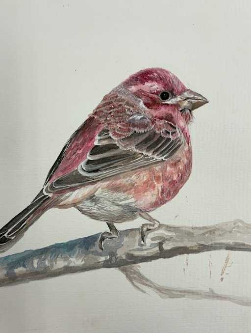 Watercolor Painting Class