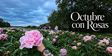 Octubre con rosas