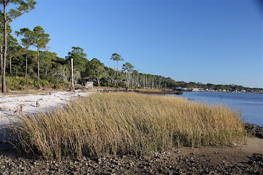 Living Shorelines Workshop