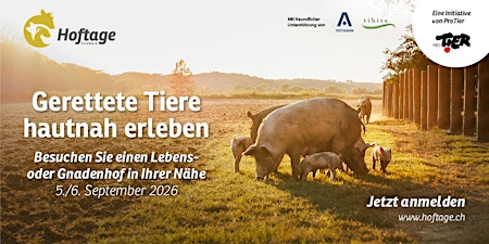 ProTier Hoftage auf dem Gnadenhof Animal's Soul 2026