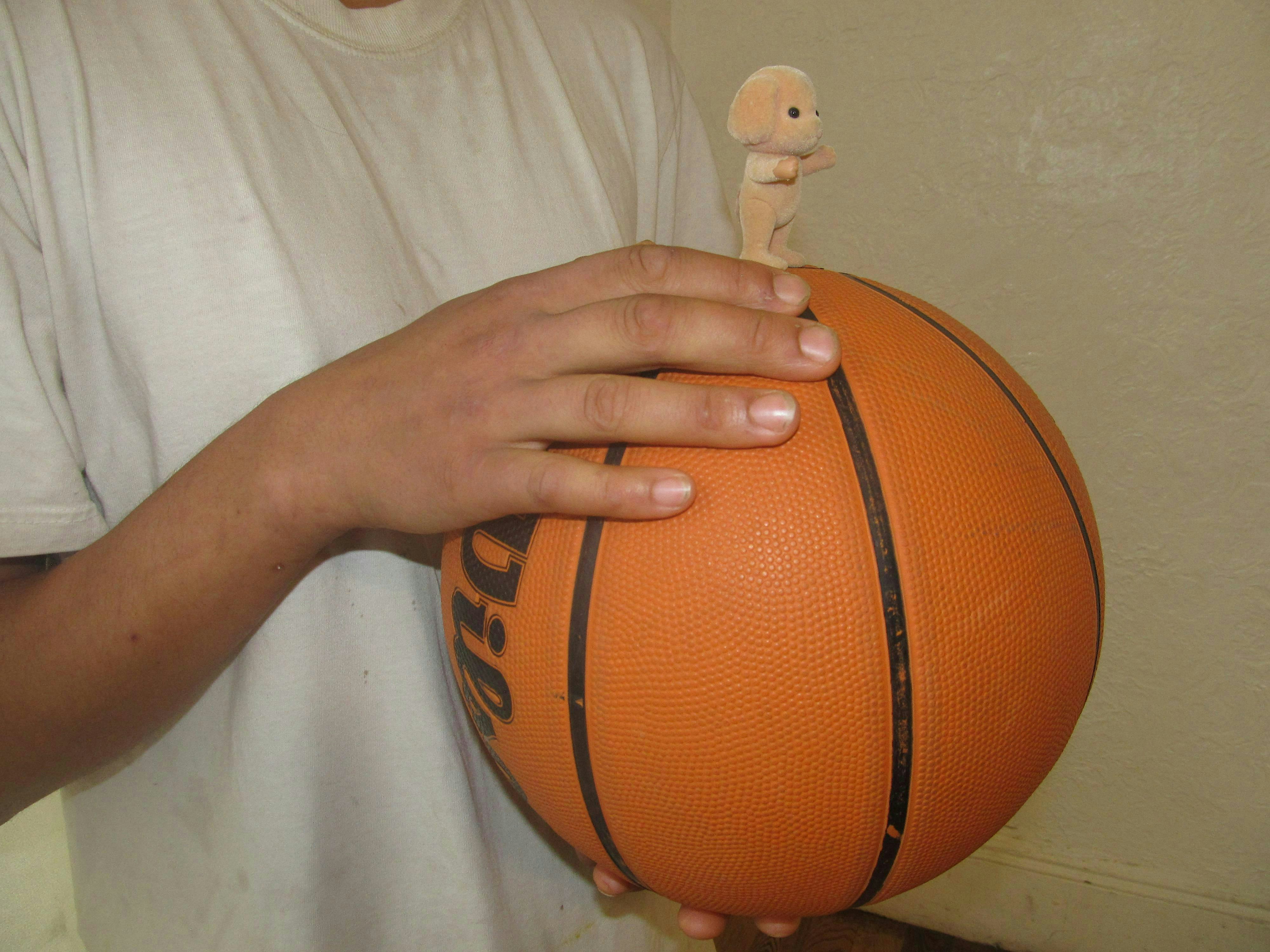 Pageant Presents: There Will Be Signs by Clara Kim