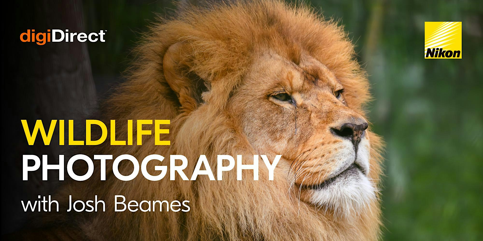 Wildlife Photography at Melbourne Zoo with Josh Beames