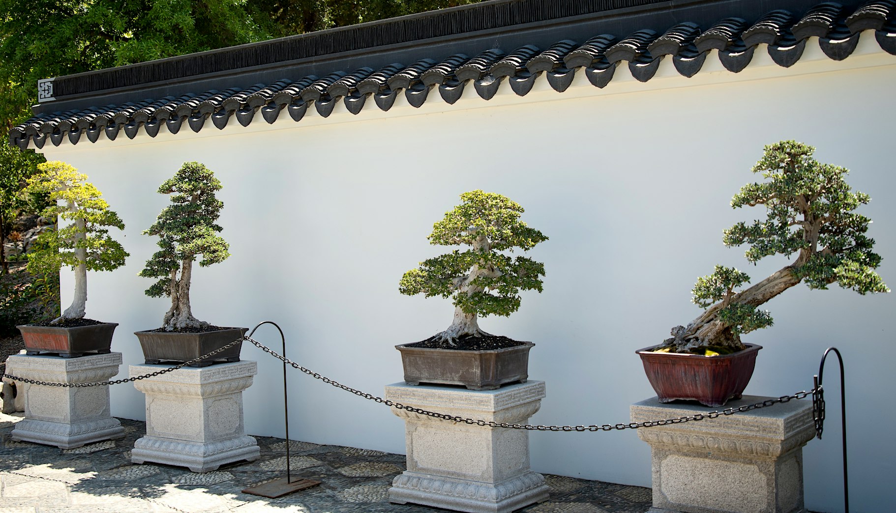PBK Connections: The Huntington Garden Tour & Social