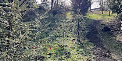 Fall Planting at Renfrew Community Park