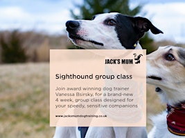 Sighthound Life Skills & Recall Class | 4-Week Specialised Course