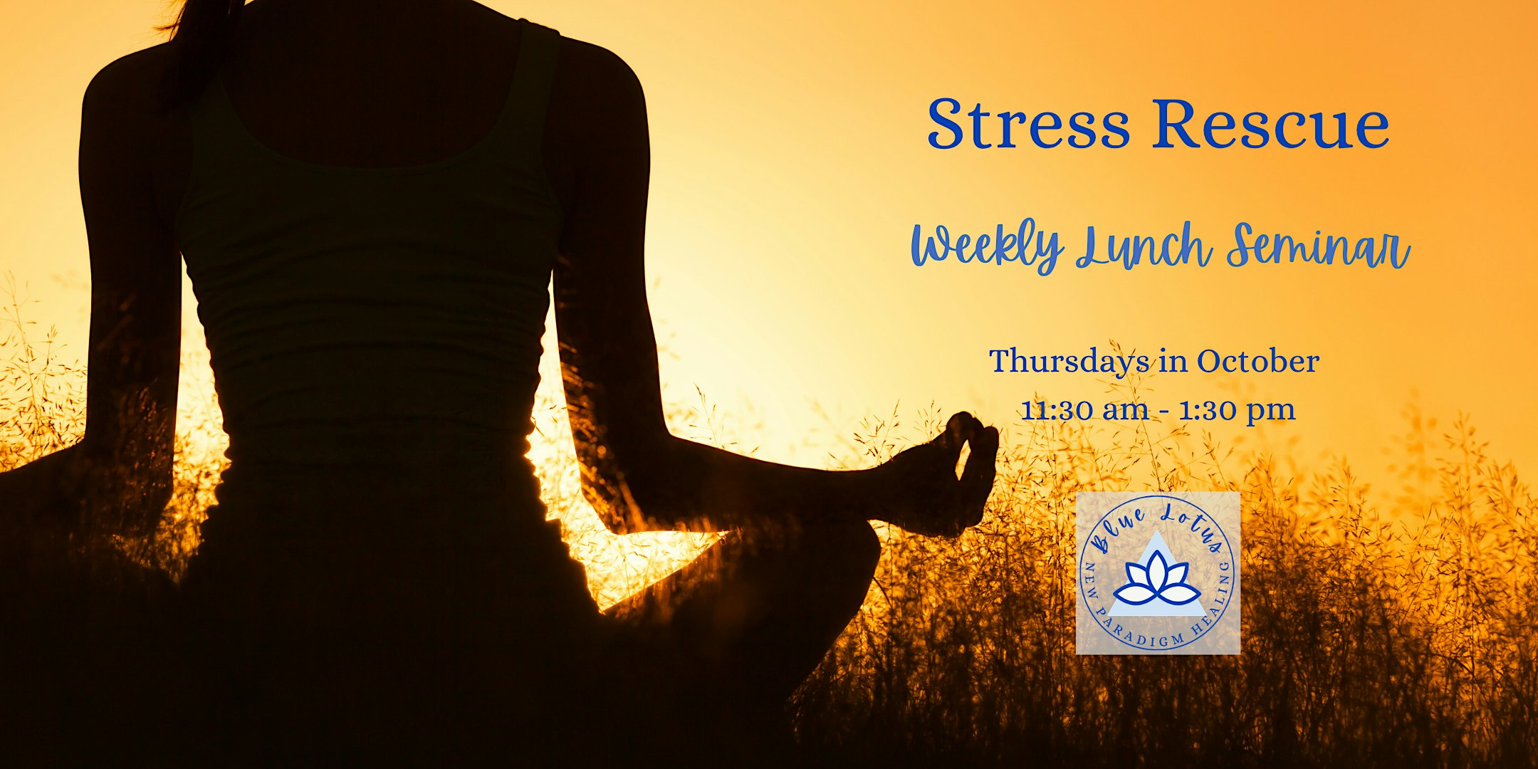 Stress Rescue Lunch Seminar