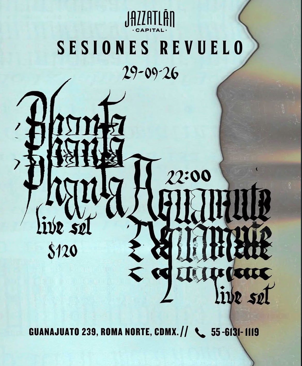 SESIONES REVUELO