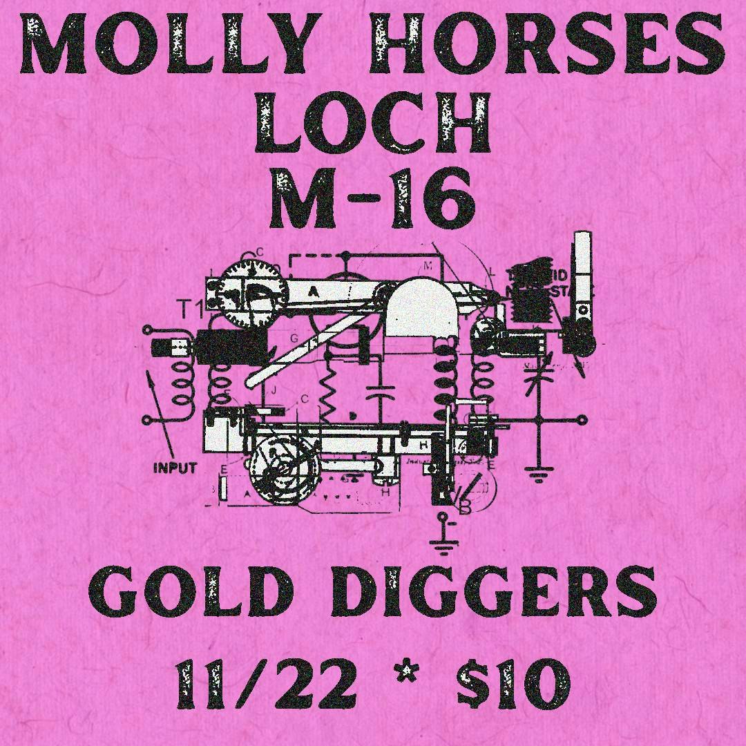 Molly Horses, Loch, M-16