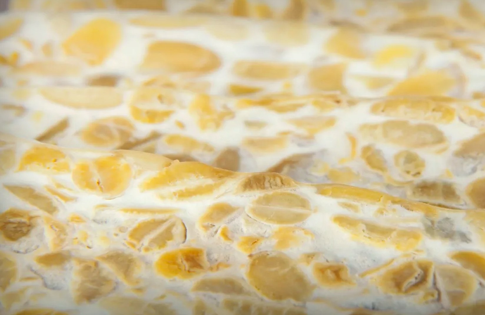 Tempeh Demystified