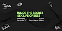 After5Boston - Inside the Secret Sex Life of Bees