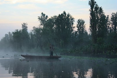 Hidden Xochimilco: Sunrise Canoe, Living Chinampas & Local Flavors