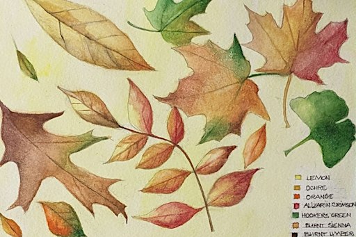 SOLD OUT: Autumn Watercolour Workshop