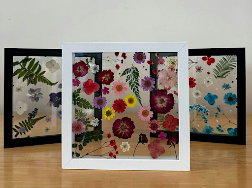 Pressed Flower Frame (Cambridge)