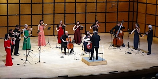 BRAVO BEETHOVEN | Homeland