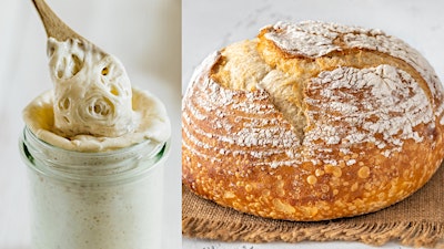 Oregon Trail Sourdough