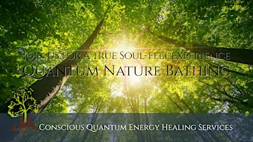 Nature Bathing | A Guided Journey of Presence, Connection & Renewal