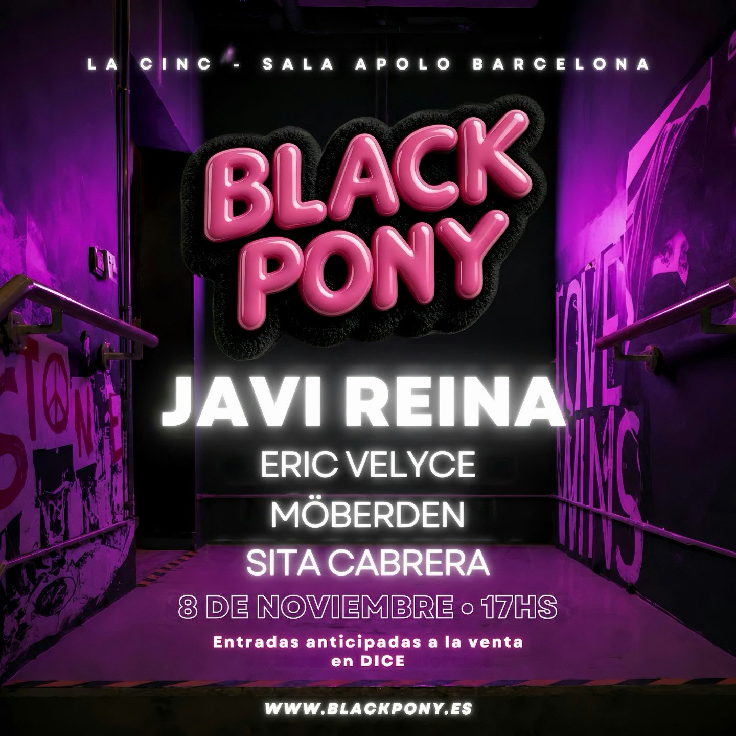 Black Pony 