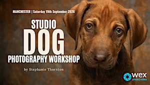 Wex Workshops: Studio Dog Photography with Stephanie Thornton | Manchester