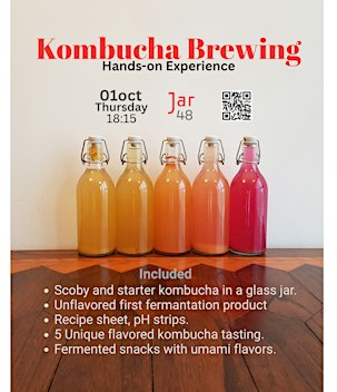Kombucha Workshop in The Hague