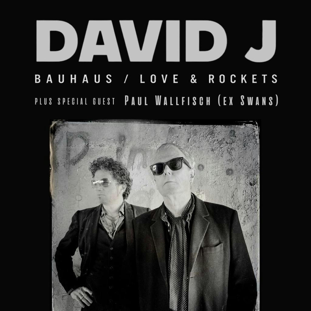 David J (Bauhaus, Love & Rockets) & Paul Wallfisch