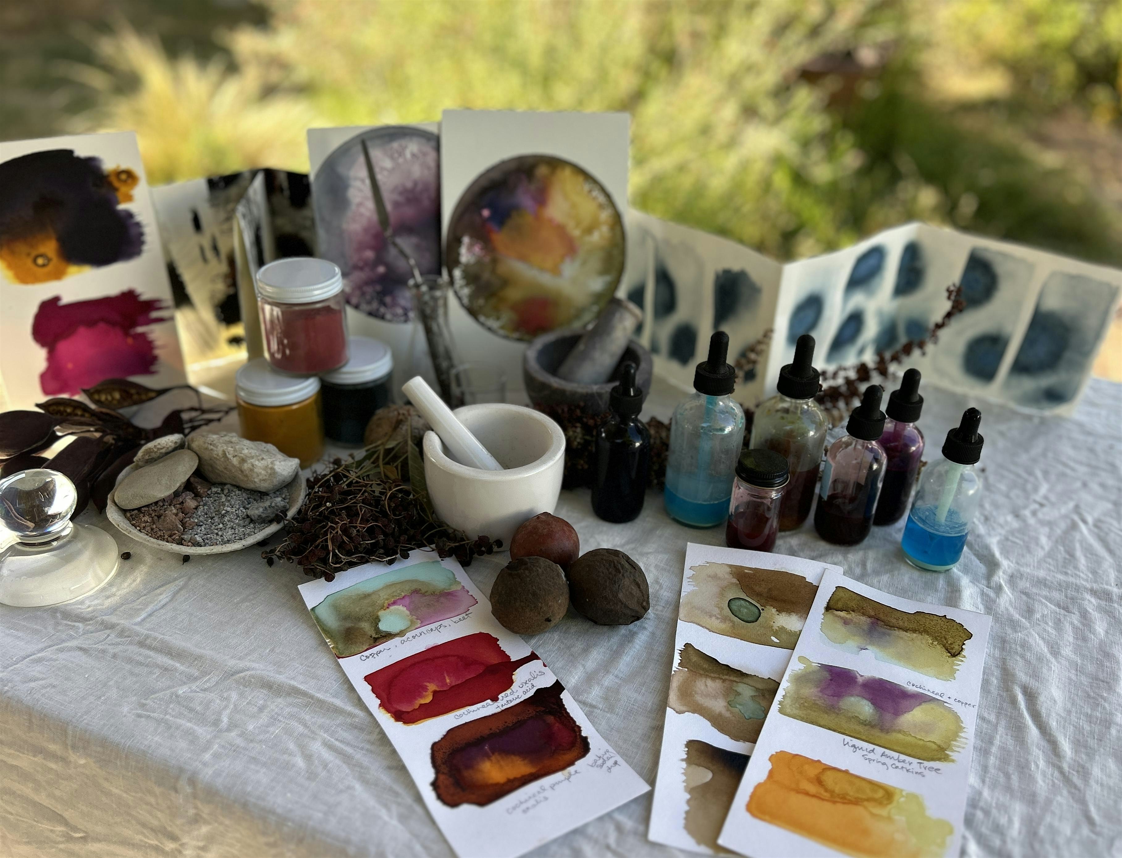 Wild Colors! - Sun, Sept 20, 2026