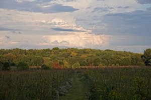 Warren Piece Welcome Hike
