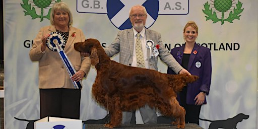 Gundog Breeds Association of Scotland - Championship Show 2026