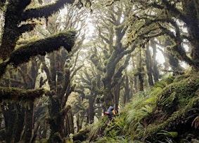 Let's Talk About | 3.000 Kilometer auf dem Te Araroa Trail