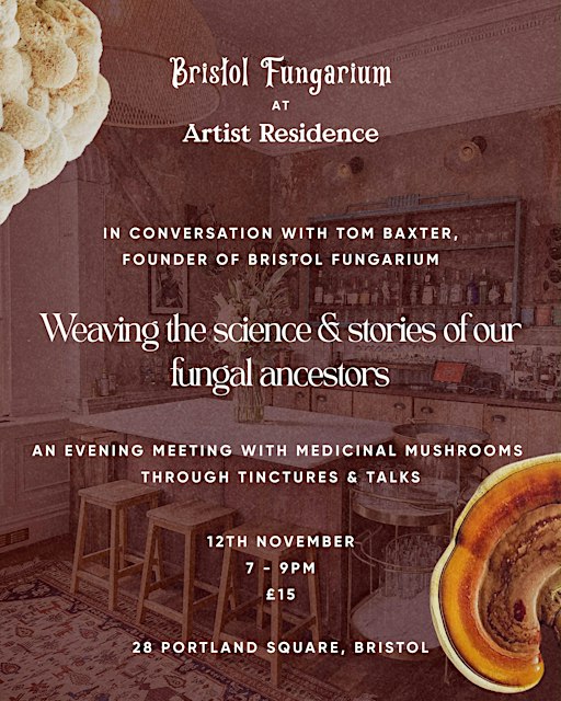Bristol Fungarium at Artist Residence Bristol
