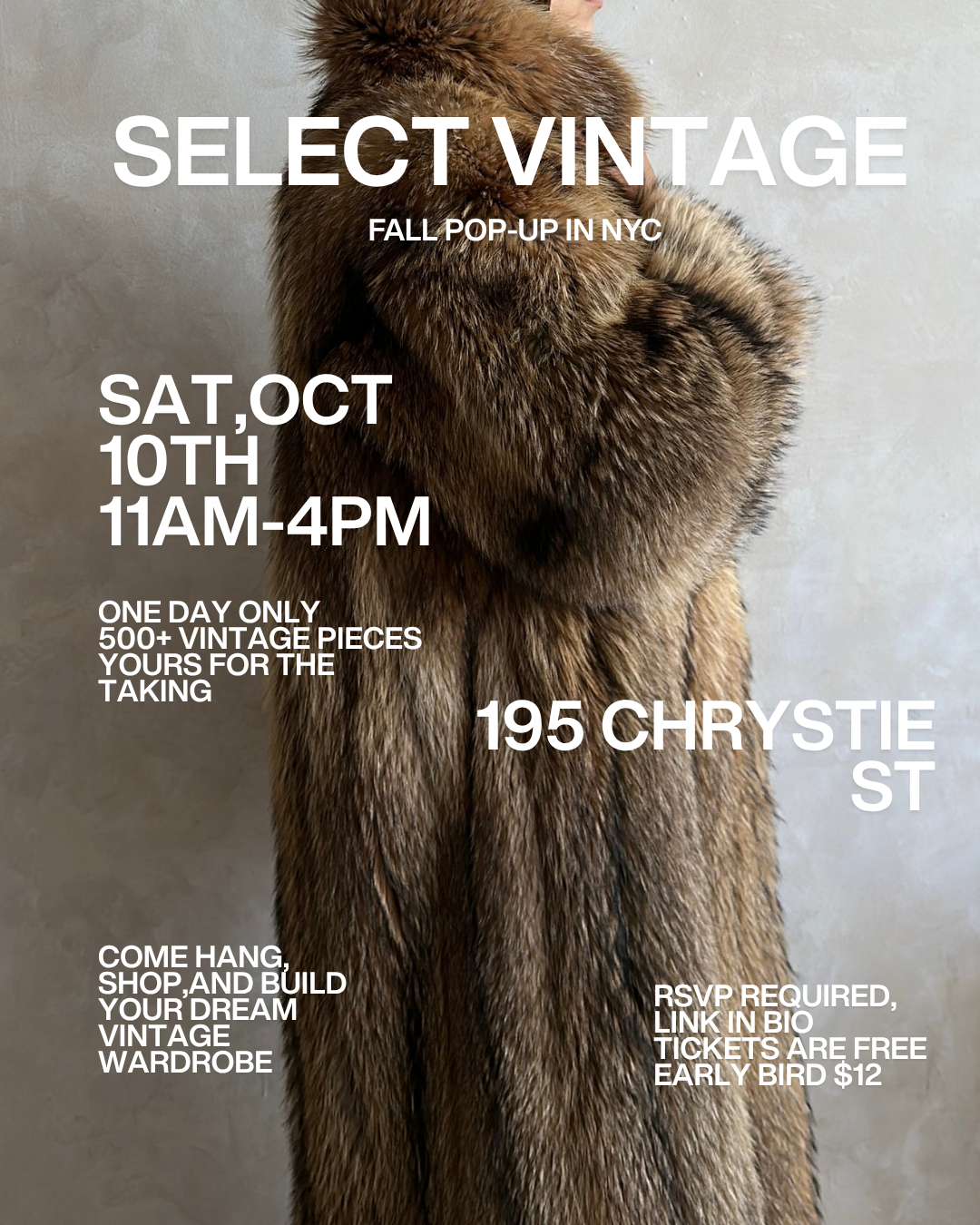 Select Vintage Annual Fall Pop-Up