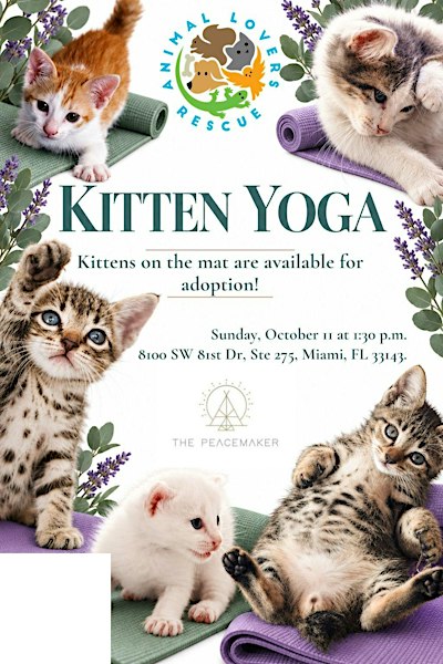 Kitten Yoga With Animal Lovers Rescue at the Peacemaker