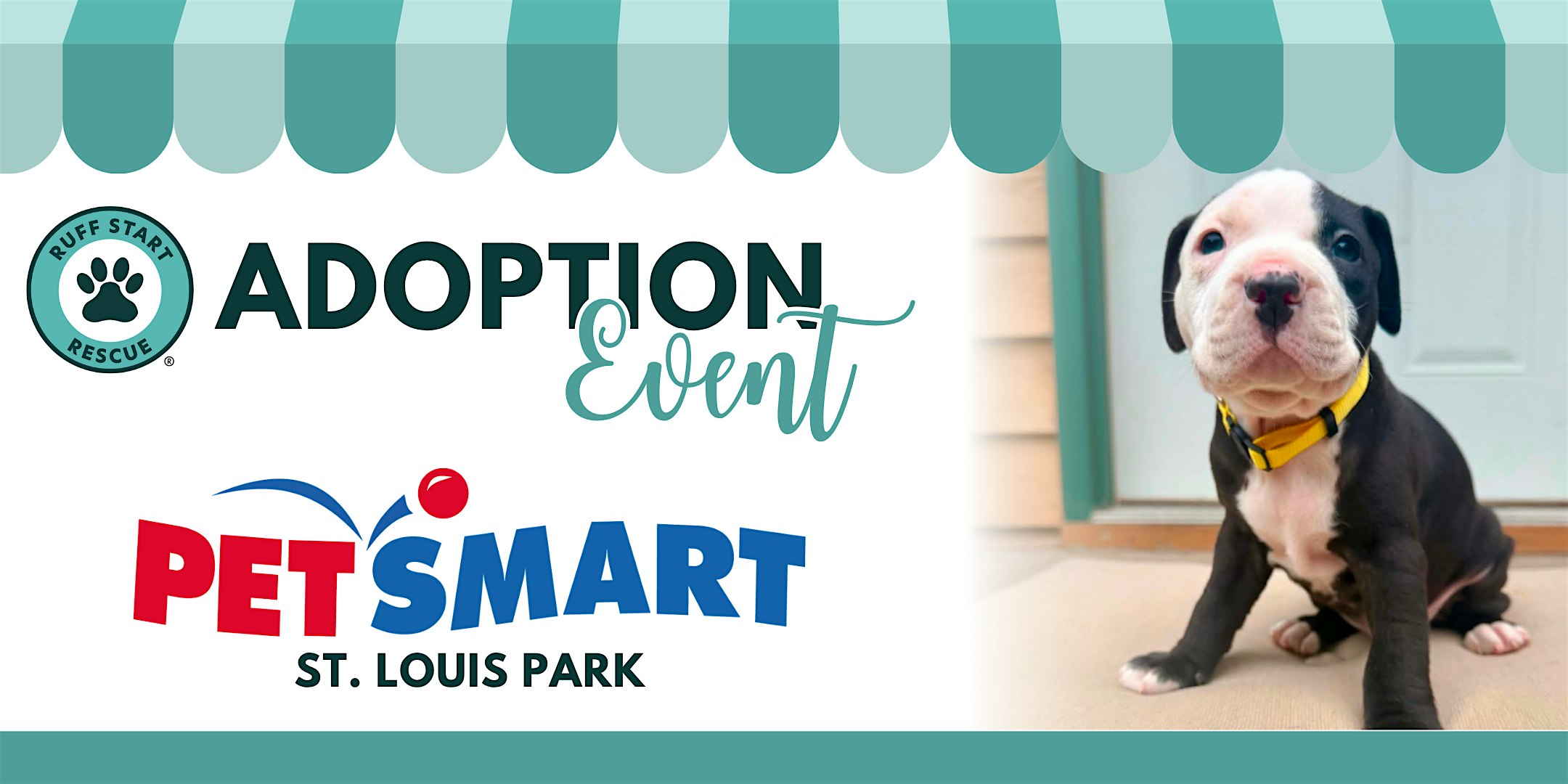 St. Louis Park PetSmart Adoption Day Event