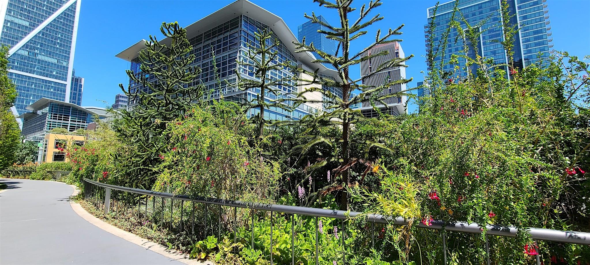 Salesforce Park Garden Walk