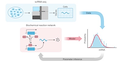 MIG Workshop: Mechanistic inference from single-cell data