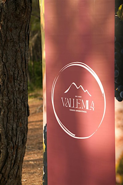 Argentina: mucho más que Malbec