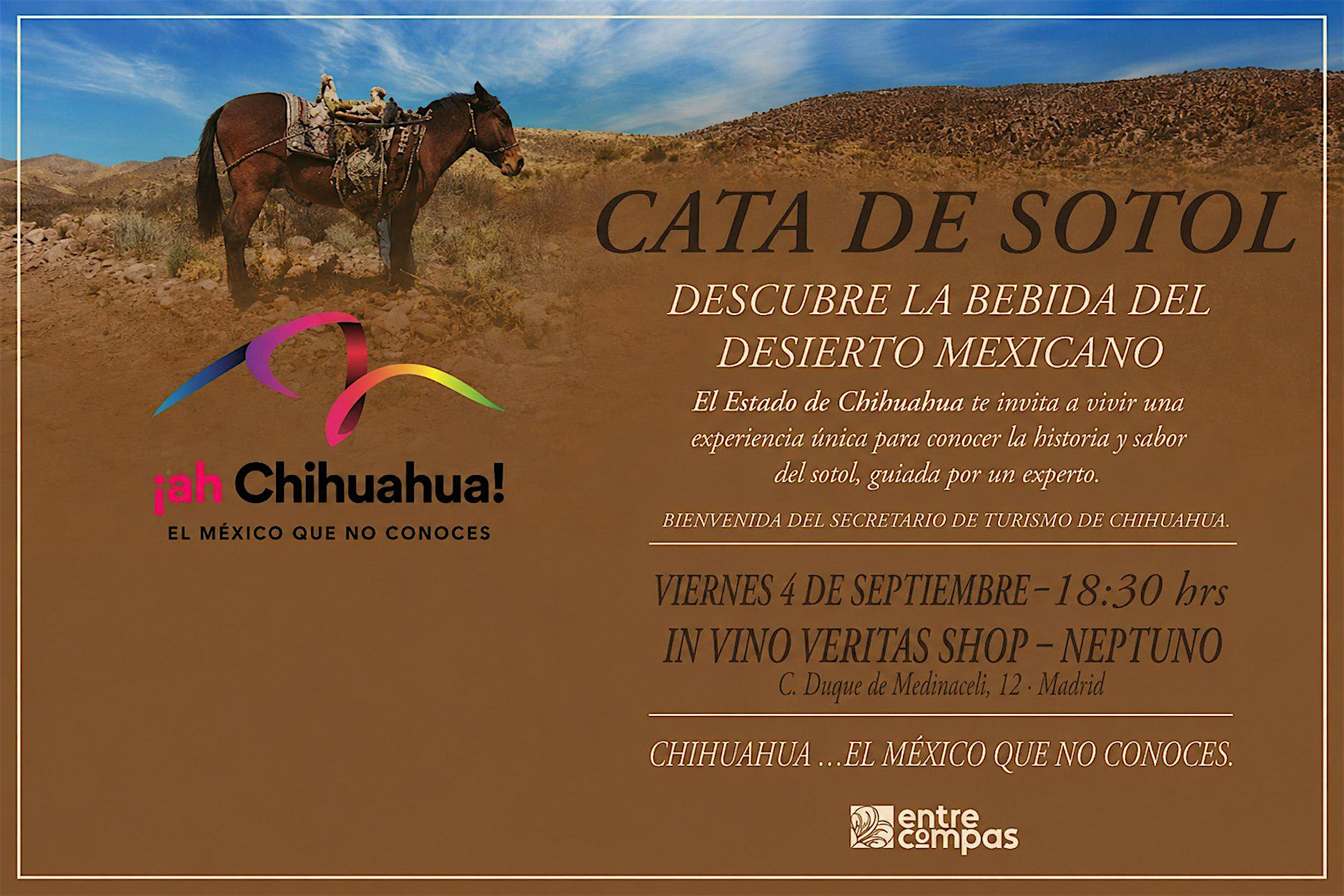 CATA DE SOTOL: DESCUBRE LA BEBIDA DEL DESIERTO MEXICANO