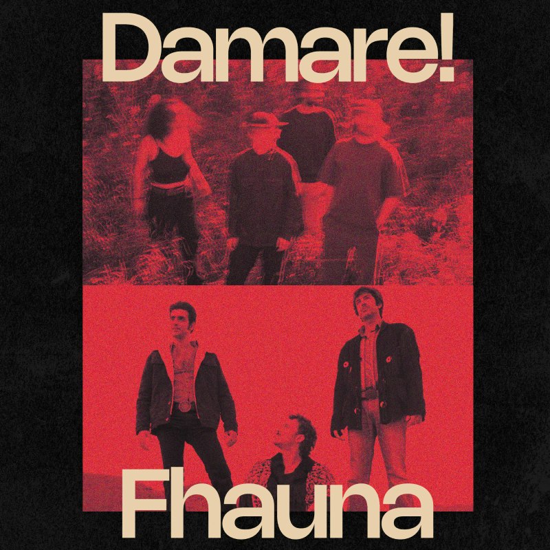 Damare! + Fhauna