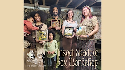 Insect Shadow Box Workshop