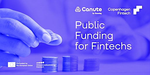 Public Funding for Fintechs